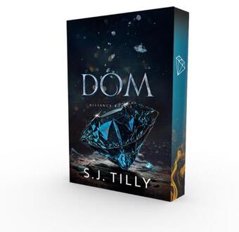 Dom -  S.J. Tilly (ISBN: 9789464405668)