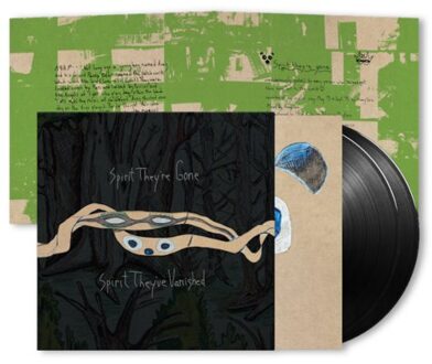 Domino Spirit They're Gone, Spirit They've Vanished - Animal Collective