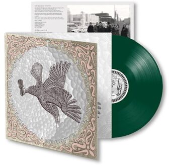 Domino The Great White Sea Eagle - Orchestra