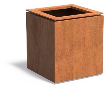 Domus cortenstaal 53x53x60 cm plantenbak