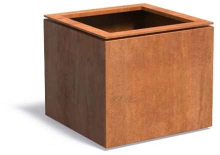 Domus cortenstaal 68x68x60 cm plantenbak