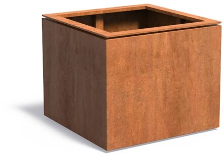 Domus cortenstaal 82x82x70 cm plantenbak