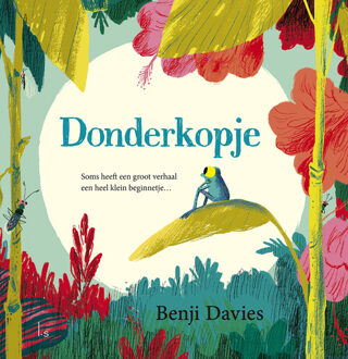 Donderkopje -  Benji Davies (ISBN: 9789021044576)