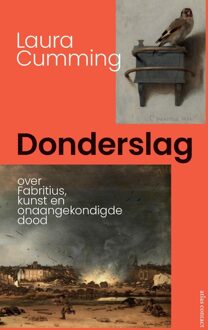 Donderslag - Laura Cumming - ebook