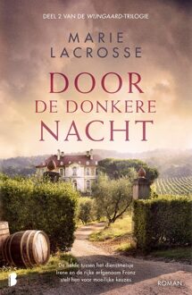 Door de donkere nacht - Marie Lacrosse - ebook