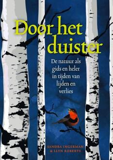 Door het duister -  Llyn Roberts, Sandra Ingerman (ISBN: 9789491557811)