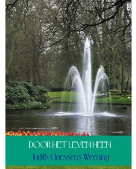 Door het leven heen - Boek Judith Claessens Weening (9462542732)