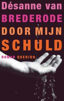 Door mijn schuld - Boek Désanne van Brederode (902143833X)