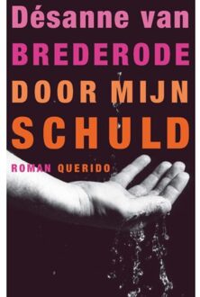 Door mijn schuld - Boek Désanne van Brederode (902143833X)