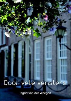 Door vele vensters - Boek Ingrid van der Weegen (9082431823)