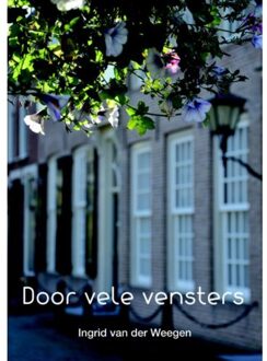 Door vele vensters - Boek Ingrid van der Weegen (9082431823)