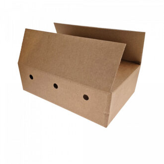 Doos voor 24 blikken 33 cl - 30 st.