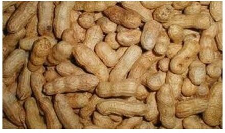 Doppinda's voor vogels 10 kg