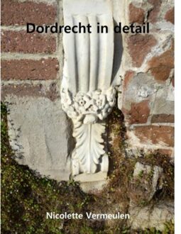 Dordrecht in detail - Boek Nicolette Vermeulen (9402160779)