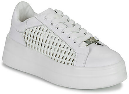 Dorking Lage Sneakers Dorking SWIFT" Wit - 37,38