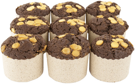 Double Chocolate Muffins