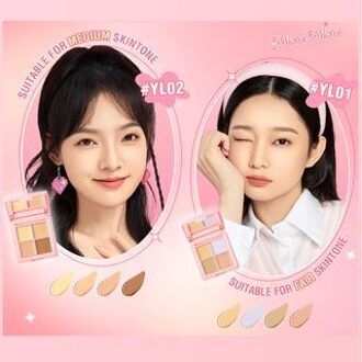 Double Fit Concealer - 2 Colors #YL01