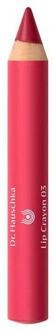 Dr. Hauschka Lipliner Dr. Hauschka Lip Crayon 03 Grape 3.7 g
