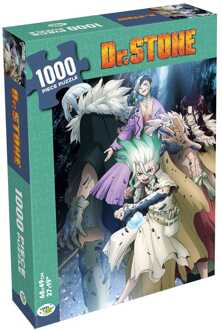 Dr. Stone Puzzle Characters (1000 pieces)