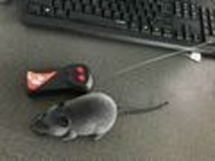Draadloze Afstandsbediening Muis Pluizige Kat Speelgoed Elektronische Muis Speelgoed Emulatie Rat Voor Kat Hond Mini Rat Remote Rat Grappige speelgoed grijs zwart ears