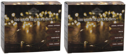Draadverlichting - Set van 2x stuks - cluster - 100 led lampjes - warm wit - 250 cm - clusterverlich
