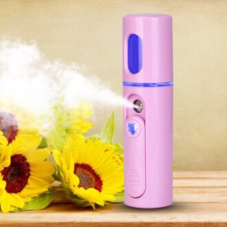 Draagbare Kleine Luchtbevochtiger Usb Oplaadbare 20Ml Handheld Facial Steamer Mini Melk Olie Gestoomde Gezicht Olie Diffuser Voor Thuis auto roze