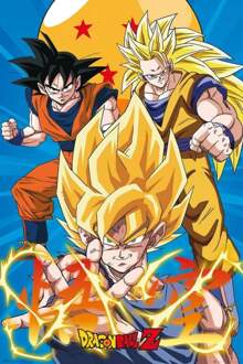 Dragon Ball Gbeye Dragon Ball Z 3 Gokus Poster 61x91,5cm Multikleur