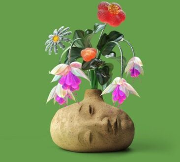 Dreams - Elephant Gym