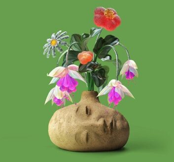 Dreams - Elephant Gym