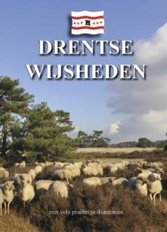 Drentse wijsheden - Boek R. Reijntjes (9055139246)