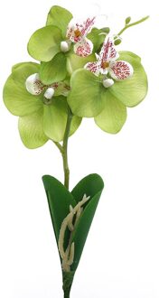 Drie Bloemen Vlinder Orchidee Kunstmatige Bloempot Planten Plastic Bloem Tak Phalaenopsis Familie Tafel Kantoor Decoratie groen