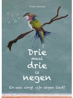 Drie Maal Drie Is Negen - (ISBN:9789492723970)
