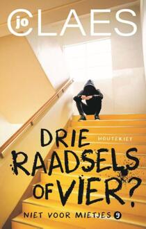 Drie raadsels of vier? -  Jo Claes (ISBN: 9789057209017)