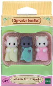 drieling Perzische kat - 5458