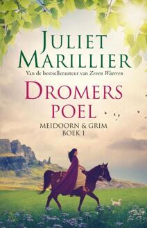 Dromerspoel - Boek Juliet Marillier (9024570379)