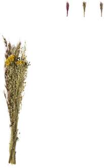 Droogbloem boeketje - diverse varianten - 50 cm