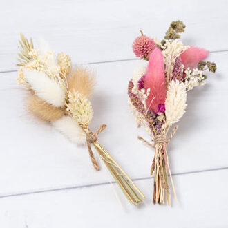 Droogbloemen kleur - set van 6