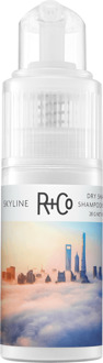Droogshampoo R+Co Skyline Volume Dry Shampoo Powder 28 g