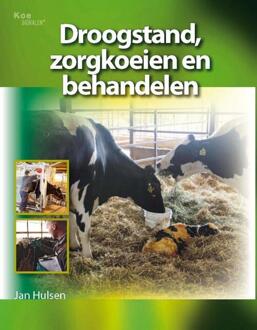 Droogstand, zorgkoeien en behandelen - Boek Jan Hulsen (9087400713)