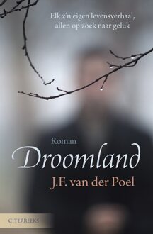 Droomland - eBook J.F. van der Poel (9401906300)