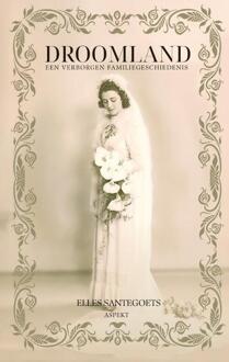 Droomland -  Elles Santegoets (ISBN: 9789464873009)