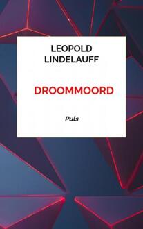 DrooMMoord -  Leopold Lindelauff (ISBN: 9789403733128)