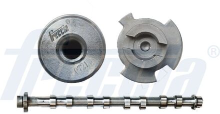 Ds Nokkenas CM052351