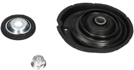 Ds Veerpoot bevestiging SSM10354