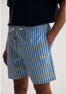 Dstrezzed Ds case stripe swimshorts Blauw