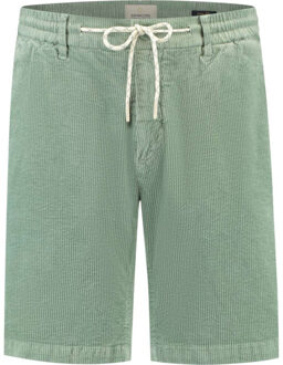 Dstrezzed Ds logan shorts Groen - 30