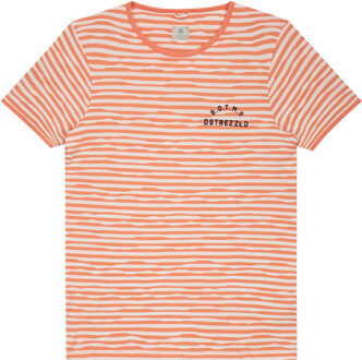 Dstrezzed T-shirt Oranje - 2XL