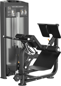 Dual 45 Hyper Extension PLX 9050