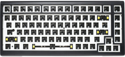 Ducky ProjectD Tinker 75 met QMK/VIA Toetsenbord