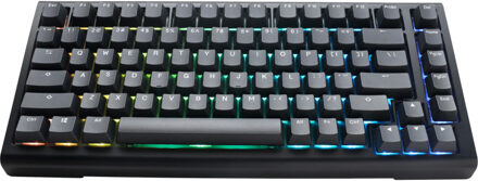 Ducky ProjectD Tinker 75 met QMK/VIA Toetsenbord